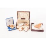 A small selection of brooches, including two shell cameo brooches, an Aynsley ceramic brooch, a