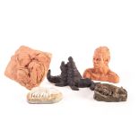 Five sculptures by Molly Blake, Tamworth pigs in terracotta - 6in (15cm) wide; Middle White pigs