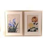 A pair of Japanese wood cut flower prints, one of blue and white flowers, the other red and