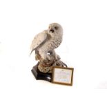 A large Limited Edition Aynsley porcelain figure entitled 'The Great Snowy Owl', 71/250, on wooden