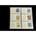 Tobacco silksWix, Kensitas Flowers, 2nd Series, L size (set, 40 cards plus 3 colour variations) (