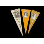 Trade feltsUSA, Movie Star Pennants, a collection of 50+ different pennants (including variations)
