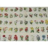 Tobacco silksITC Canada, Flowers, uncut sheet of 55 silks (set), numbered 1-55 (some fraying)