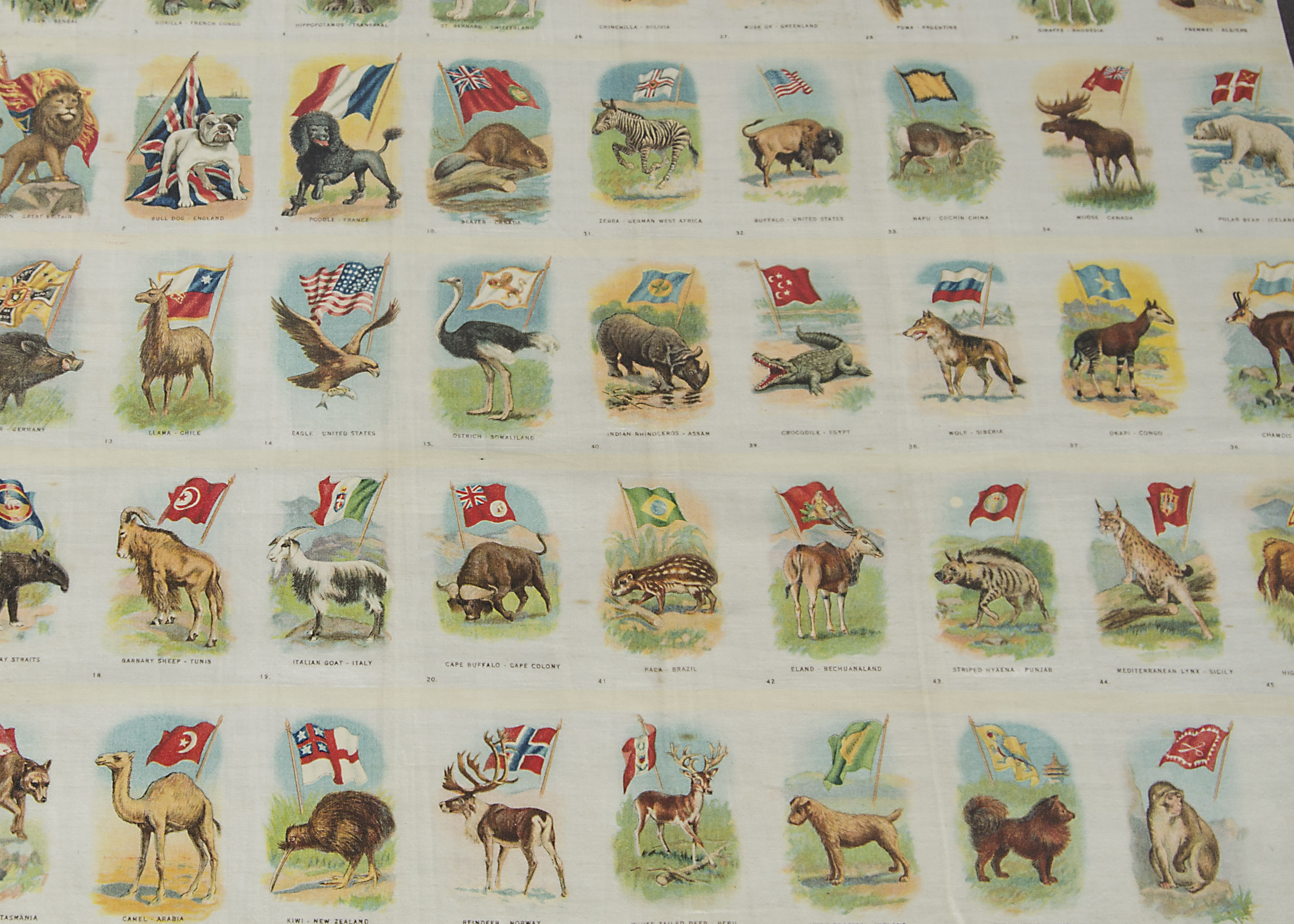 Tobacco silksITC, Canada, Animal with Flag, partly cut sheet containing 45/55 silks) (gd)