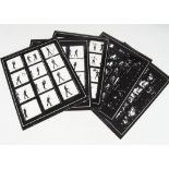 Punk / Stiff Interest: six original photo contact sheets, three from Live Stiffs 1977 tour with