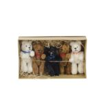 A trade box of five German Teddy Bears, one black, two brown and two white, pin - jointed, plastic