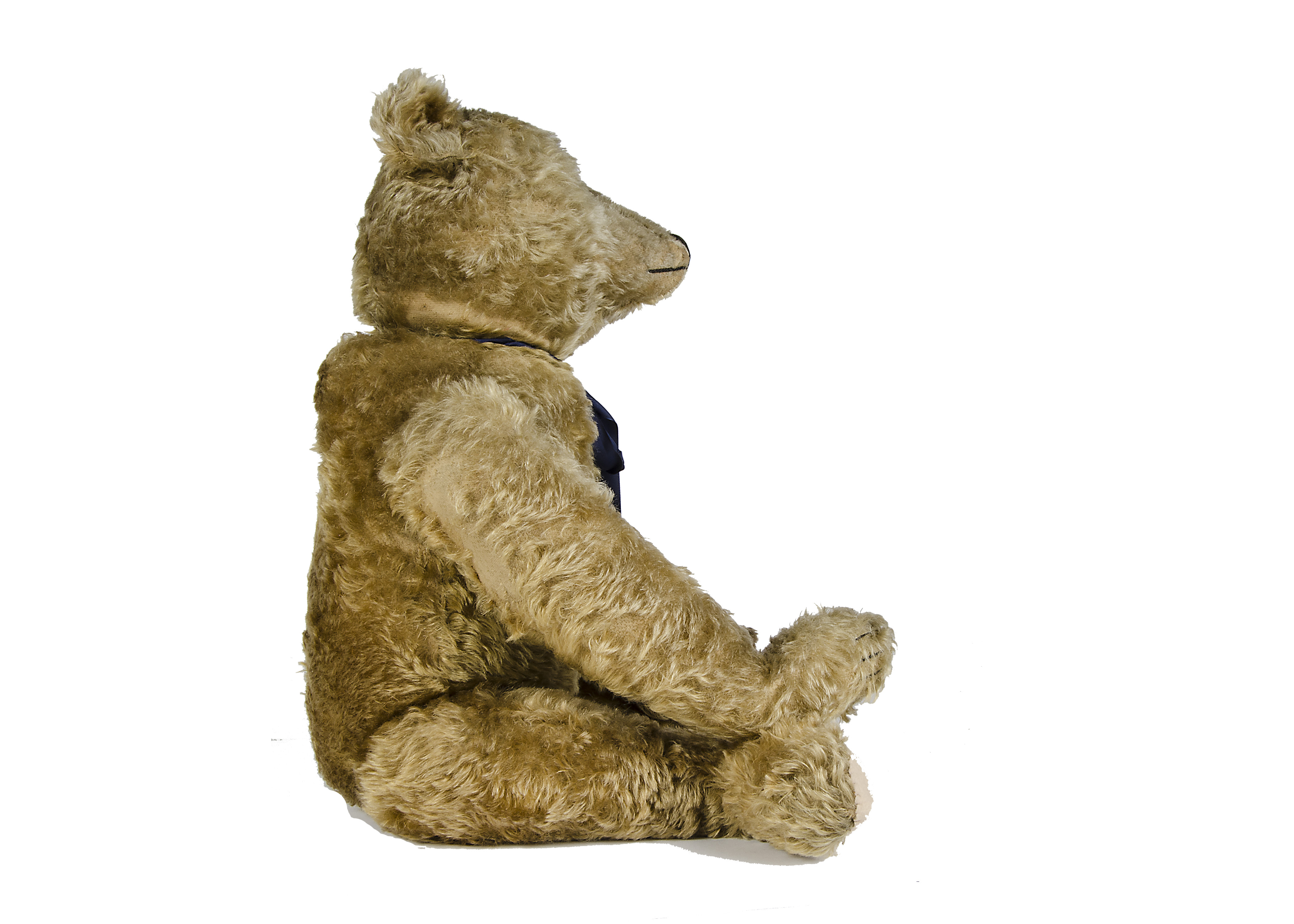 A large early Steiff Teddy Bear, circa 1910, with dark blonde mohair, black boot button eyes, - Image 5 of 5