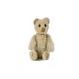 A small Schuco white mohair Teddy Bear, 1920s, with black metal pin eyes, brown stitched nose and