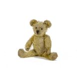 A 1930s British Teddy Bear, with golden mohair, replaced boot button eyes, pronounced muzzle,