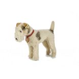 A fine Steiff standing Fox terrier, No.1329,02, late 1930s, with unusual cream wool plush with brown