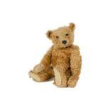 An early Steiff apricot mohair Teddy Bear, circa 1908, with boot button eyes, pronounced clipped