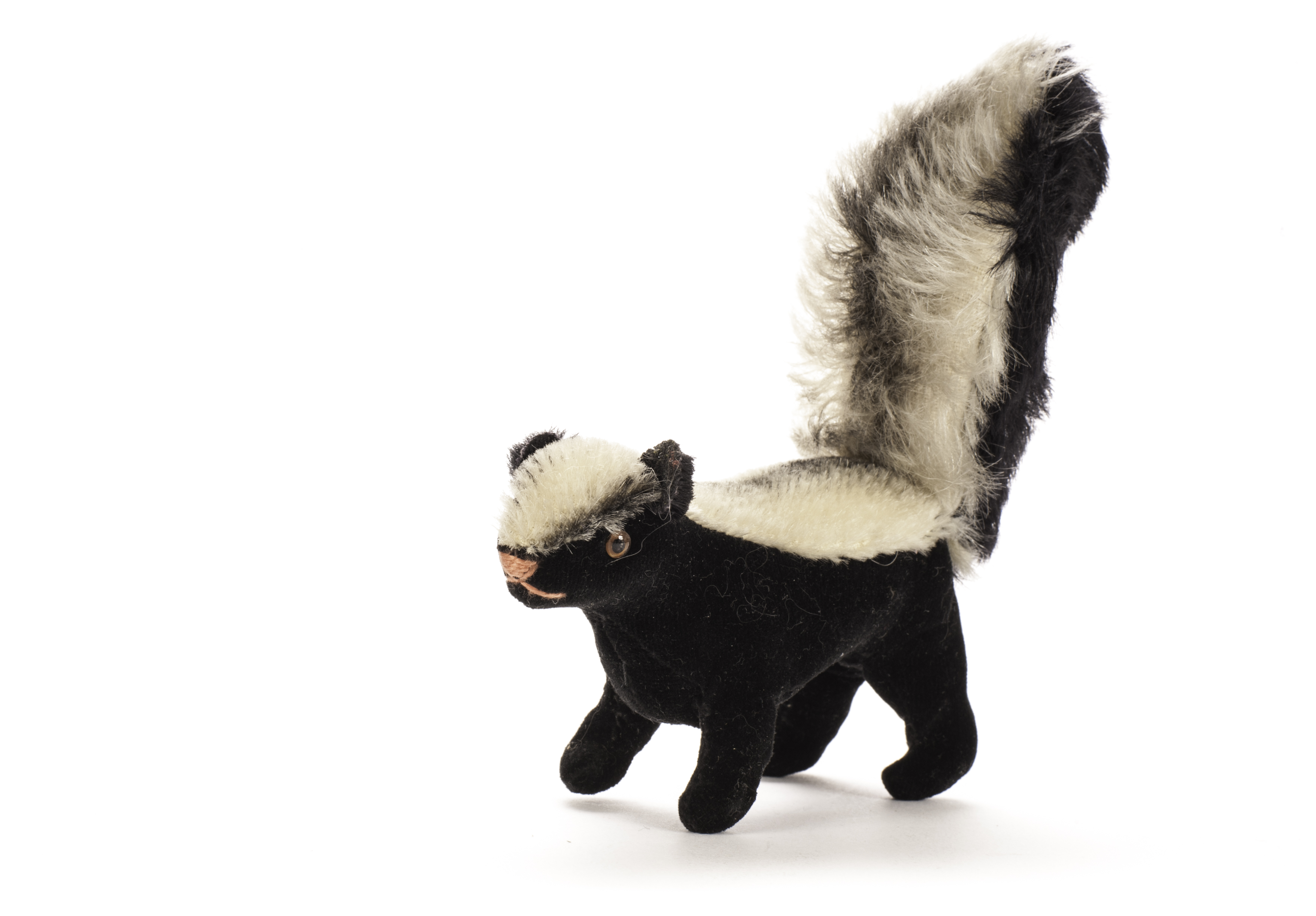 A rare Steiff skunk, 1962-63, with short mohair back, black velvet body and longer mohair tail - 4½