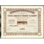 An attractive selection of Egyptian certificates, most with vignettes, comprising Rosetta &