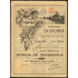 La Lulonga, dividend share, 1898, no.5358, attractive river scene, yellow and black; together with