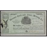 United States of America: Webster Gold and Silver Mining Co., Reese River District, Lander County (