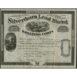 Silverthorn Lead Mining and Smelting Co. (WI), $100 shares, Chicago 18[67], #248, issued to and