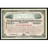 New York, Ontario and Western Railway Company Pairing. 100 Common stock, green, locomotive, train on