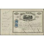 Wichita and South Western Railroad Company (KS), $100 shares,, 18[72], #31, State seal vignette