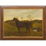 AMERICAN SCHOOL: HORSE IN A LANDSCAPE Oil on canvas, unsigned. 22 x 30 in., 26 x 34 in. (frame).