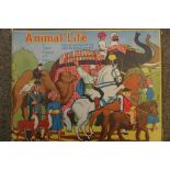 An early childs pop up book Animal Life