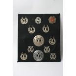 A collection of 12 various Gordon Highlanders badges including two Plaid brooches with some