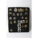 A collection of 24 various cap badges including a bronze R.F.