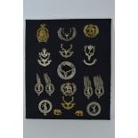 A collection of 17 Seaforth Highlanders badges including Plaid brooch and four rank badges with