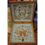 A good collection of Victorian butterflies and moths in double folding display case