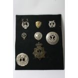 A collection of eight various Gordon Highlanders badges including two Plaid brooches