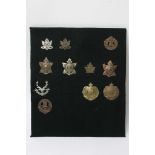 A collection of eleven Canadian Scottish badges including Nova Scotia Highlanders,