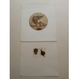 Two aquatint etchings Garden Snails by Valerie Christmas, signed 70/150, stone lion  6/99 platemarks