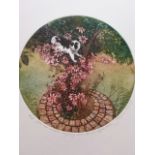 Frances Shearing circular aquatint etching 21/100 cat scaling an apple tree. Signed