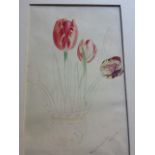 William Vandyke Patten 1838, an unfinished tulips watercolour. Signed and dated lower right