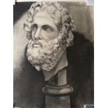 Belgian School, large mid 20thC charcoal drawing of a male bearded stone bust on heavy paper,