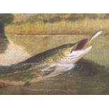 English School, late 20th century, portrait of a pike chasing a fish, oil on canvas laid on board,