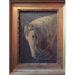 Continental school, early 20th century, indistinctly signed lower right, head portrait of a horse,