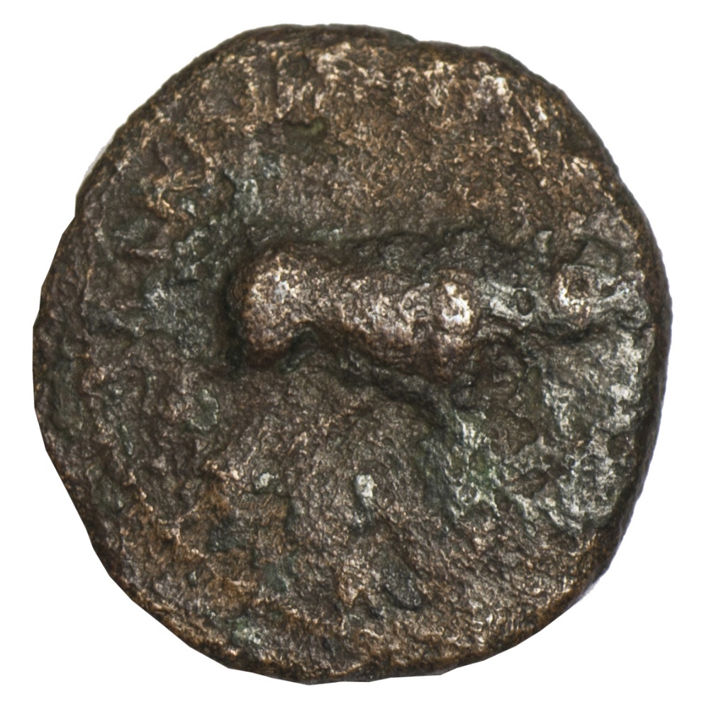 Celtic coinage, Catuvellauni, Cunobelin (early AD 1st century - c. - Image 2 of 3