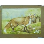 A framed watercolour of a fox