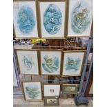 A set of seven framed pictures of wildli