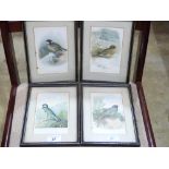 A set of four framed prints of birds inc