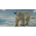 Joel Kirk oil on board of a polar bear e