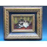 A framed oil on board of two cats together with two framed prints of cats
