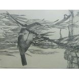 Charles Chaplin etching 'Reed Warbler' (signed),