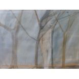 A framed and glazed watercolour drawing of a nude study 'Tree Figure',