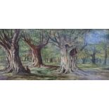 A pair of oils on canvas one of Burnham Beeches and the other Windsor Forest,