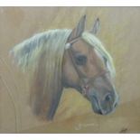 A pastel of horse's head 'Brummel' monogrammed AH lower right  (35cm x 38.