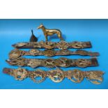 A quantity of martingale style horse brasses,