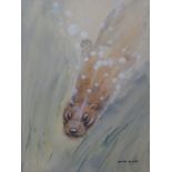 David Blake: Gouache of an otter swimming, 35 x 25cm,