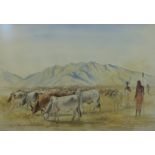 Susan M Hall: Watercolour "Samburu Cattle,