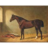 D*** W*** Williams Esmeralda, a Bay Mare in her Stall signed oil on canvas 39 by 50cm